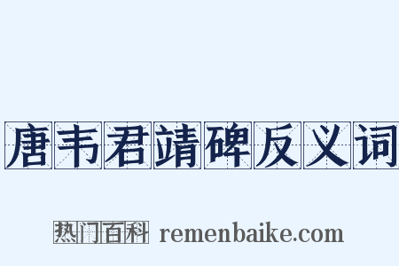 唐韦君靖碑反义词是什么意思的图片